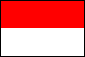 ネットマークスのある、インドネシアの国旗です。