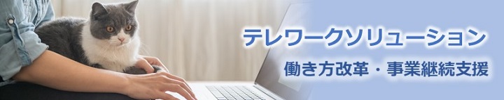 テレワークソリューション　働き方改革・事業継続支援